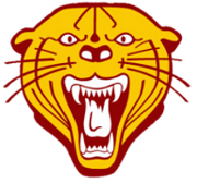WEBSTER AREA BEARCATS