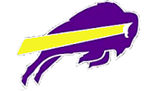 STANLEY COUNTY BUFFALOES