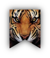 MOBRIDGE-POLLOCK TIGERS