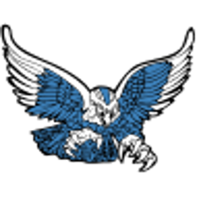 TRIPP-DELMONT/ARMOUR NIGHTHAWKS