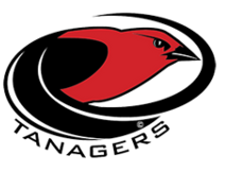 VERMILLION TANAGERS