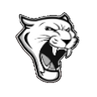 VIBORG-HURLEY COUGARS