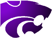 CUSTER WILDCATS